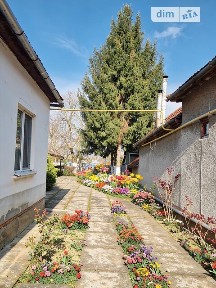 Продаж 1 поверхового будинку з ділянкою на 25 соток, 133.4 кв. м, 4 кімнати, на вул. Коштей • ID 34557137