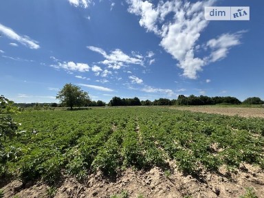 вулиця Соборна, Дашів, вул. Соборна • ID 34545084