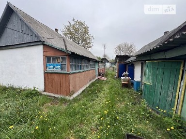 Продаж будинку поблизу Радомишля, с. Мірча