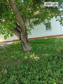 Продаж 1 поверхового будинку з меблями і ділянкою на 34 сотки, 57 кв. м, 3 кімнати, на вул. Золотоніська • ID 34528130