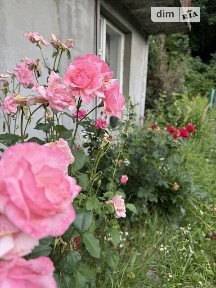 Бережани, СТ Зелений гай 34520563