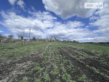 Продаж 1 поверхового будинку з ділянкою на 30 соток, 39.6 кв. м, 2 кімнати, на вул. Незалежності 163 • ID 34518789