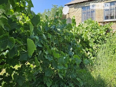 Продаж 3 поверхового будинку з верандою і ділянкою на 5 соток, 111 кв. м, 3 кімнати, на 6-та Вишнева вулиця • ID 34507482