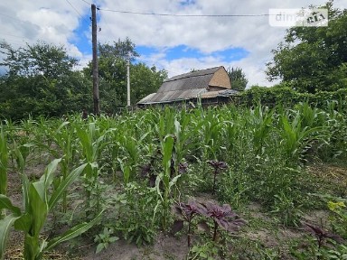 Продаж 1 поверхового будинку з ділянкою на 10 соток, 30 кв. м, 2 кімнати, на вулиця Корсунка 17 • ID 34504186