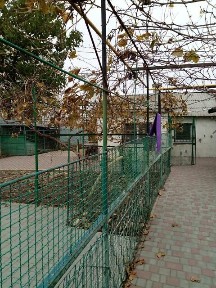 вулиця Центральна, Олександрівка (Чорноморськ), вул. Центральна • ID 34494571