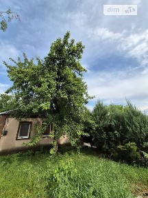 Продаж 1 поверхового будинку з опаленням і ділянкою на 30 соток, 49.2 кв. м, 3 кімнати, на вул. Дніпровська 38 • ID 34488037