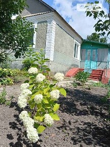 Красносілка (Староконстантинів), Вулиця Молодіжна • ID 34484991