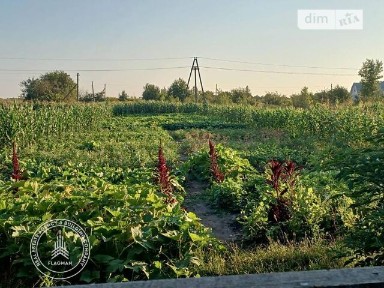 Івана Франка вулиця, Приборівка, вул. Івана Франка 17 • ID 34482072