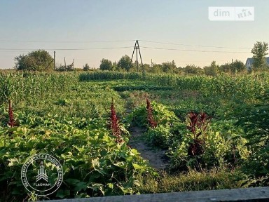 Продаж 1 поверхового будинку з ділянкою на 19 соток, 66.7 кв. м, 2 кімнати, на вул. Івана Франка 17 • ID 34482072