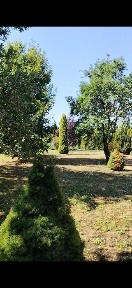 Закарпатська область, Ужгород