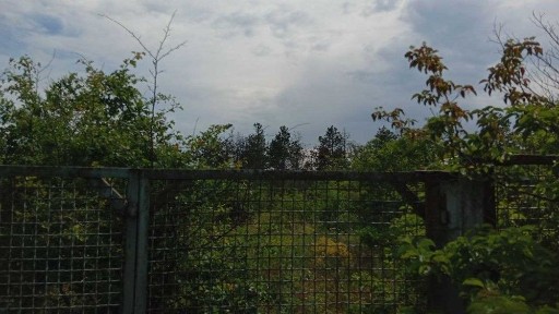 Одеська область, Алтестове
