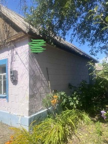Продам будиночок в Романково
