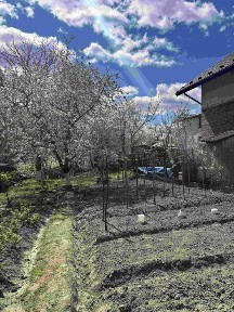 Продаж будинку Шевченківський район