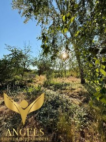 Продаж укомплектованого 2-поверхового заміського будинку в 5 хв від м. Кропивницький: власний став, сауна та колиба