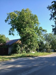 Сдам дом в Рыбальском