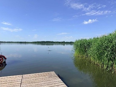 Вінницька область, Петрик