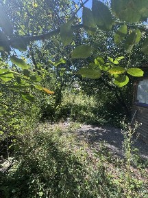 Полтавська область, Полтава