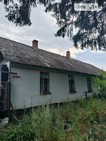 Яблуневе, Лісова 4 • ID 34716125
