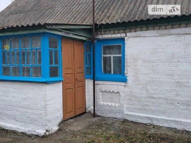Крилівка (Андрушівка), Соборна 10 • ID 34713684