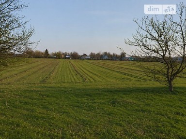 Романів, Мар'янівський • ID 34710455