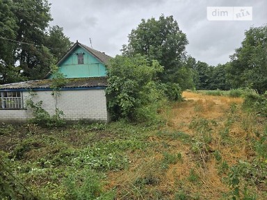 Продаж 1 поверхового будинку з верандою і ділянкою на 40 соток, 50 кв. м, 2 кімнати, на вул. Центральна • ID 34706928