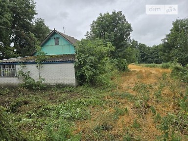Центральна вулиця, Криве, вул. Центральна • ID 34706928