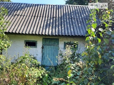 Бабинці