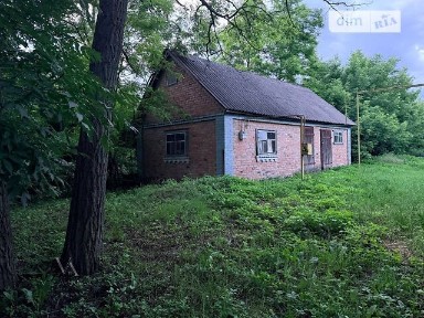 Продаж 1 поверхового будинку з ділянкою на 49 соток, 56.1 кв. м, 1 кімната, на вул. Яблунева • ID 34532022