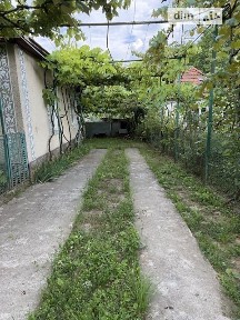Головна вулиця, Пацканьово, вул. Головна 105 34525878