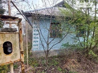 Хутори-Кривошиїнецькі, вулиця Новоселиця 34487297