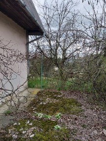 Закарпатська область, Оноківці