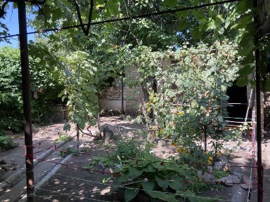 Оренда будинку з окремим двором, Бородок