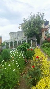 Продається дача на Вінницьких Хуторах