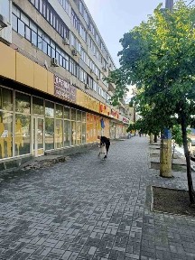 Оренда приміщення 196,7 кв. м. Запоріжжя, пр. Соборний 148