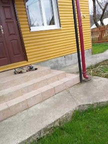 Продам терміново домогосподарство