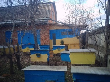 Ціну знижено. Терміново продаємо. Будинок незавершений з будиночком на бджолах добудованим збоку