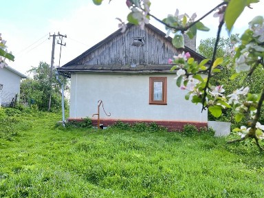 Будинок в селі Острів поруч сосновий ліс та річка