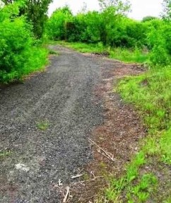 Оренда великого майданчика 1.5 га (15 000 кв. м) під техніку/склад біля м. Зіньків