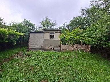 Продам дачу у товаристві терміново