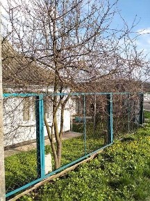 Продаж окремого будинку на Половках