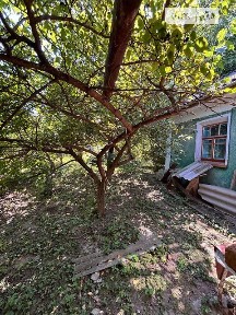 Лесі Українки вулиця, Лісові Гринівці, вул. Лесі Українки 34716123