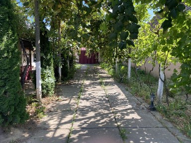Продається Будинок в с. Береги