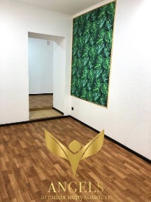 Вільне для оренди комерційне приміщення 30 м² фасадний вхід, санвузол, Центр м. Кропивницький