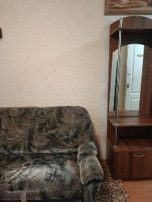 1 кімнатна квартира Шимка, меблі, холодильник