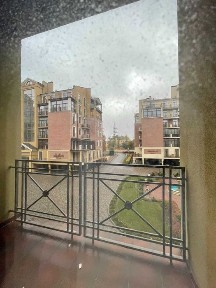 Харківська область, Харків, Шевченківський