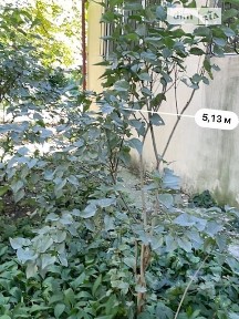 Продаж 3к квартири 56 кв. м на вул. Олексія Вадатурського 5 • ID 34714858