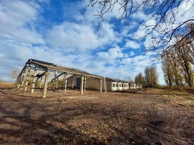Закарпатська область, Тросник