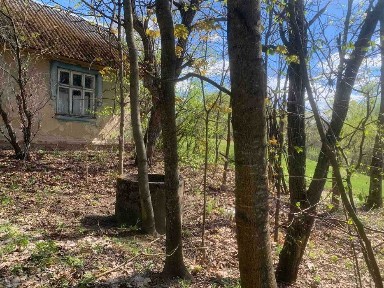 Продаж будинку в селі Арламівська Воля вул. Висівка / 25 сот землі +25 сот під осг