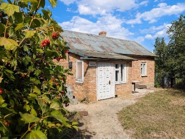 Продаж 1 поверхового будинку з ділянкою на 25 соток, 34 кв. м, 2 кімнати, на вул. Лесі Українки • ID 34733119