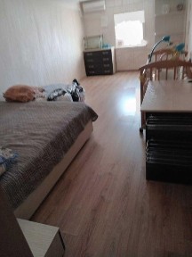 Київська область, Софіївська Борщагівка